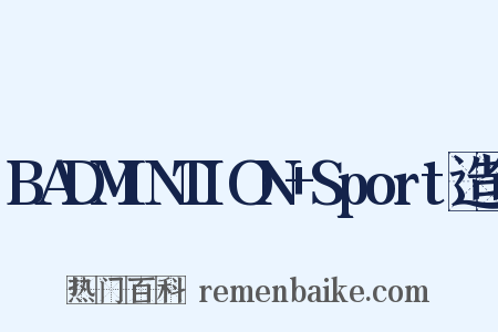 BADMINTION+Sport造句是什么意思的图片